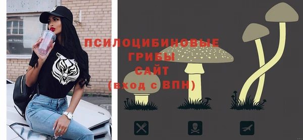 эйфоретик Алзамай