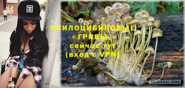 метадон Алексин