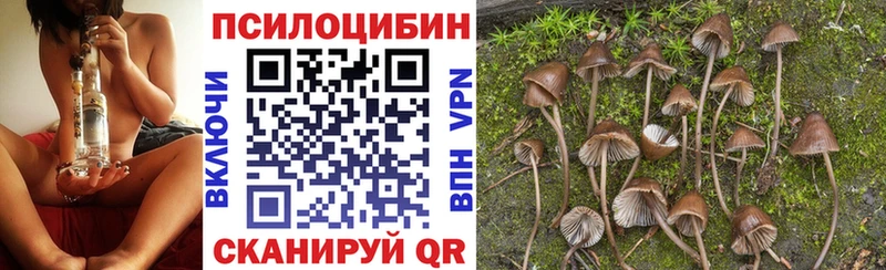 Псилоцибиновые грибы Magic Shrooms  магазин  наркотиков  Апшеронск 